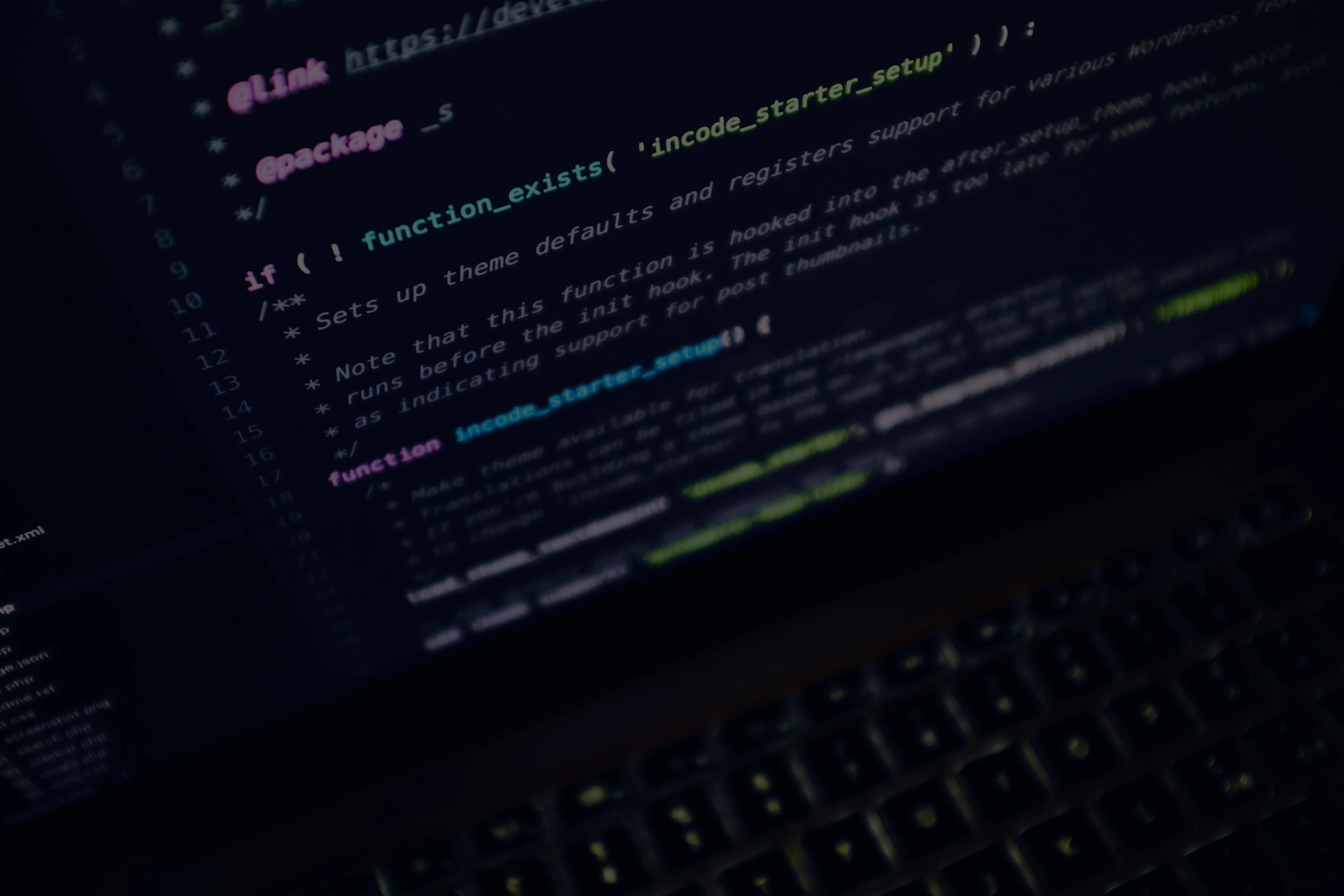 Software Development